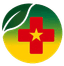 Cam Health System logo